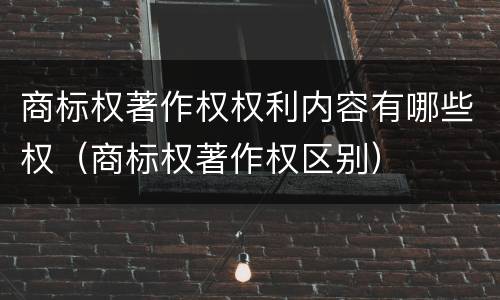 商标权著作权权利内容有哪些权（商标权著作权区别）