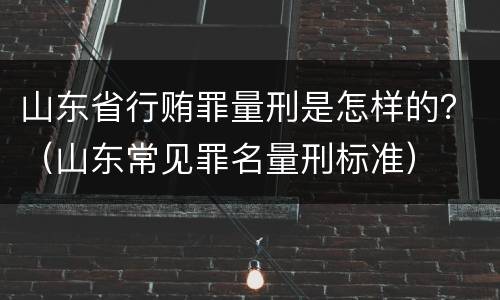 山东省行贿罪量刑是怎样的？（山东常见罪名量刑标准）