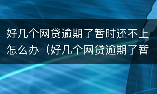好几个网贷逾期了暂时还不上怎么办（好几个网贷逾期了暂时还不上怎么办呢）