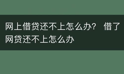 网上借贷还不上怎么办？ 借了网贷还不上怎么办