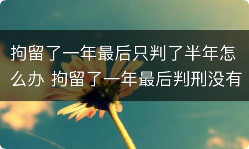 拘留了一年最后只判了半年怎么办 拘留了一年最后判刑没有一年