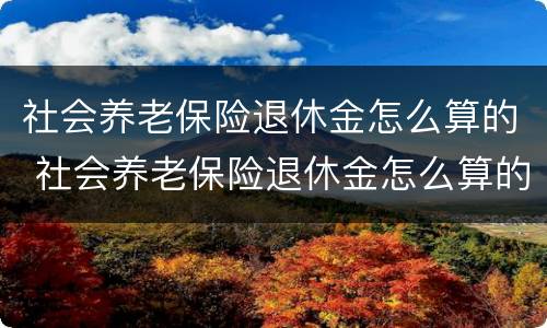 社会养老保险退休金怎么算的 社会养老保险退休金怎么算的呀