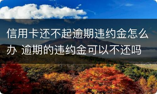 信用卡还不起逾期违约金怎么办 逾期的违约金可以不还吗
