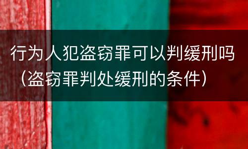 行为人犯盗窃罪可以判缓刑吗（盗窃罪判处缓刑的条件）