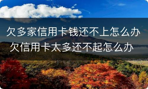 欠多家信用卡钱还不上怎么办 欠信用卡太多还不起怎么办