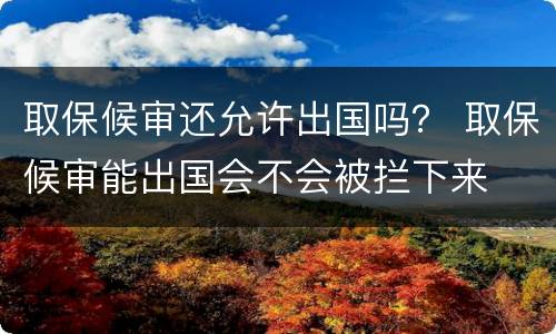 取保候审还允许出国吗？ 取保候审能出国会不会被拦下来