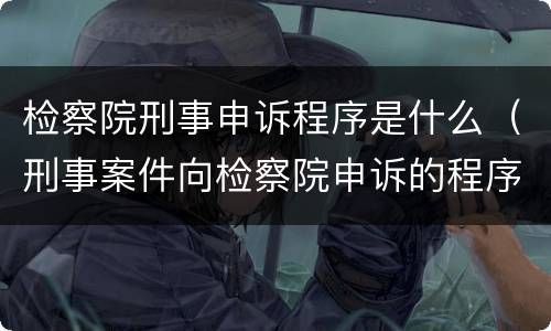 检察院刑事申诉程序是什么（刑事案件向检察院申诉的程序）