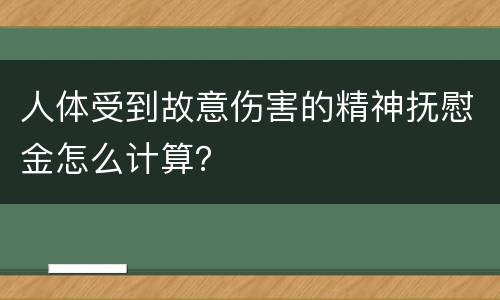 人体受到故意伤害的精神抚慰金怎么计算？