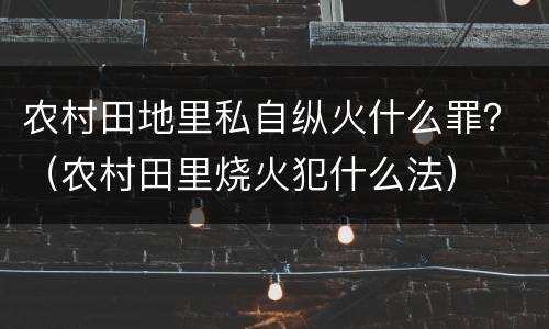 农村田地里私自纵火什么罪？（农村田里烧火犯什么法）
