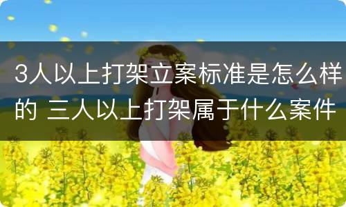 3人以上打架立案标准是怎么样的 三人以上打架属于什么案件