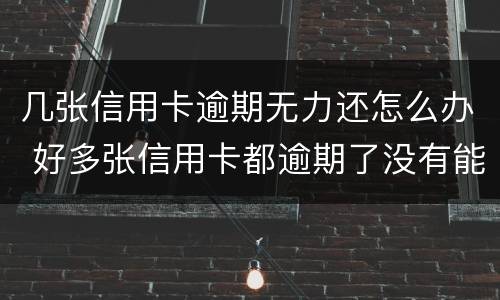几张信用卡逾期无力还怎么办 好多张信用卡都逾期了没有能力还怎么办