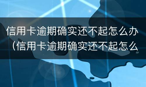 信用卡逾期确实还不起怎么办（信用卡逾期确实还不起怎么办呢）