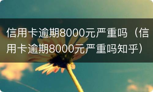信用卡逾期8000元严重吗（信用卡逾期8000元严重吗知乎）