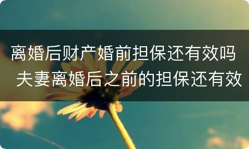 离婚后财产婚前担保还有效吗 夫妻离婚后之前的担保还有效吗