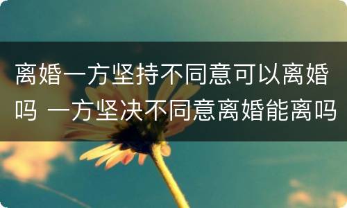 离婚一方坚持不同意可以离婚吗 一方坚决不同意离婚能离吗