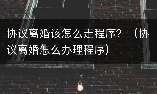 协议离婚该怎么走程序？（协议离婚怎么办理程序）