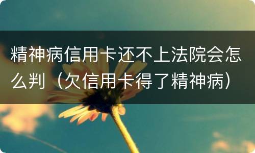 精神病信用卡还不上法院会怎么判（欠信用卡得了精神病）