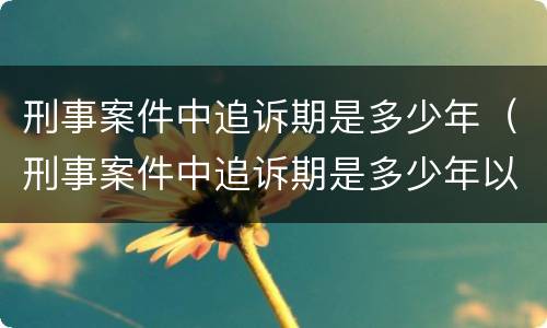 刑事案件中追诉期是多少年（刑事案件中追诉期是多少年以内）