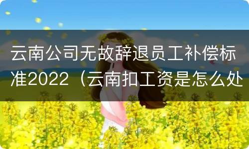 云南公司无故辞退员工补偿标准2022（云南扣工资是怎么处理）