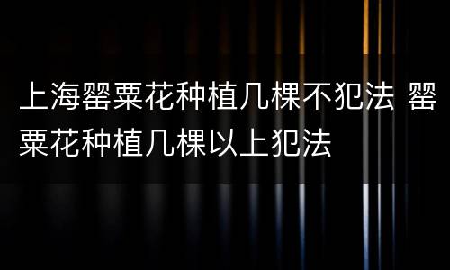 上海罂粟花种植几棵不犯法 罂粟花种植几棵以上犯法