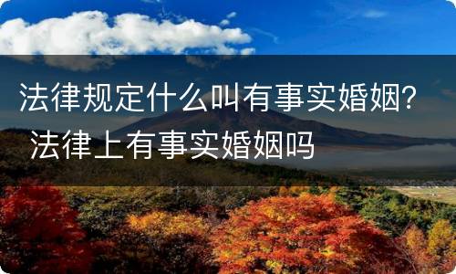 法律规定什么叫有事实婚姻？ 法律上有事实婚姻吗