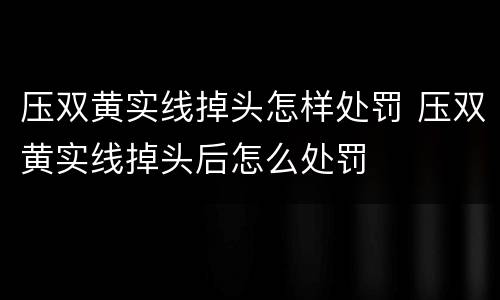 压双黄实线掉头怎样处罚 压双黄实线掉头后怎么处罚