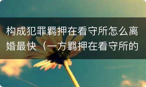 构成犯罪羁押在看守所怎么离婚最快（一方羁押在看守所的人办离婚流程）