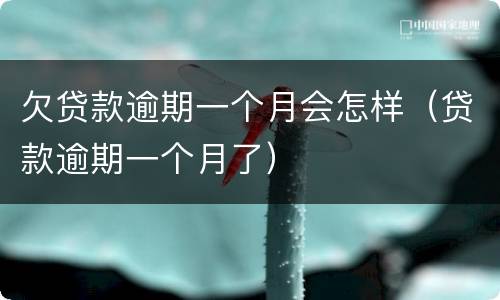 欠贷款逾期一个月会怎样（贷款逾期一个月了）