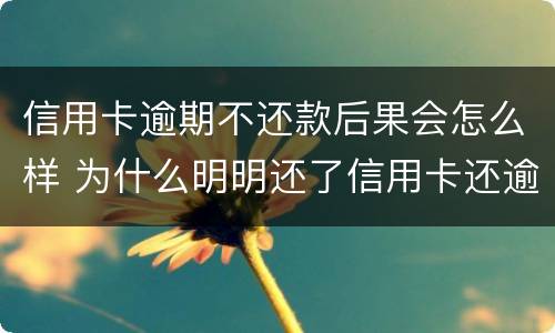 信用卡逾期不还款后果会怎么样 为什么明明还了信用卡还逾期