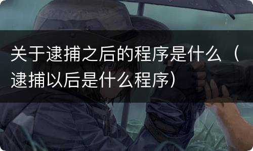 关于逮捕之后的程序是什么（逮捕以后是什么程序）