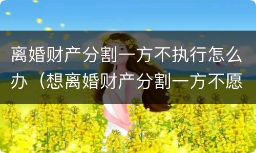 离婚财产分割一方不执行怎么办（想离婚财产分割一方不愿意拿出来怎么办）