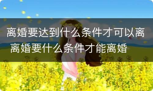 离婚要达到什么条件才可以离 离婚要什么条件才能离婚