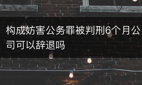 构成妨害公务罪被判刑6个月公司可以辞退吗