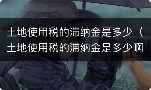 土地使用税的滞纳金是多少（土地使用税的滞纳金是多少啊）