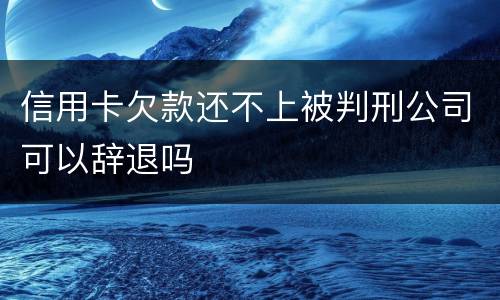 信用卡欠款还不上被判刑公司可以辞退吗