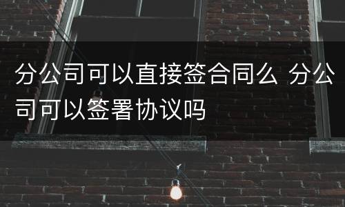 分公司可以直接签合同么 分公司可以签署协议吗