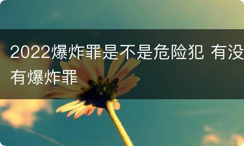 2022爆炸罪是不是危险犯 有没有爆炸罪
