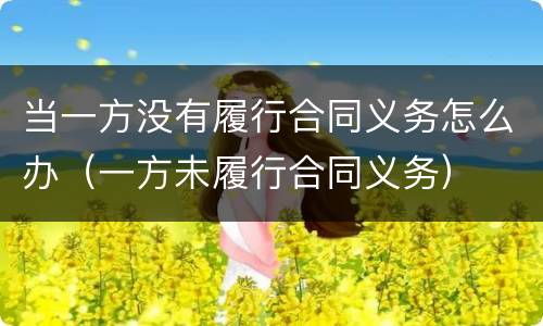 当一方没有履行合同义务怎么办（一方未履行合同义务）