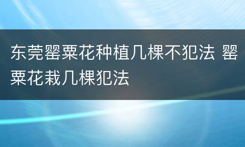 东莞罂粟花种植几棵不犯法 罂粟花栽几棵犯法