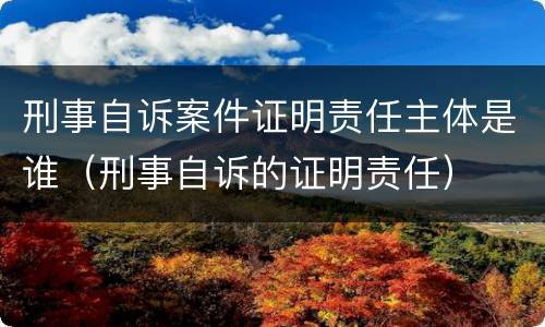 刑事自诉案件证明责任主体是谁（刑事自诉的证明责任）