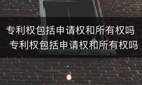 专利权包括申请权和所有权吗 专利权包括申请权和所有权吗为什么
