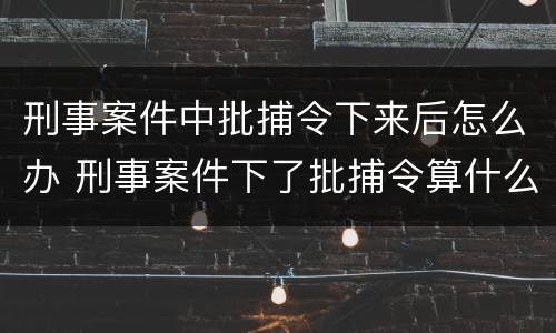 刑事案件中批捕令下来后怎么办 刑事案件下了批捕令算什么阶段