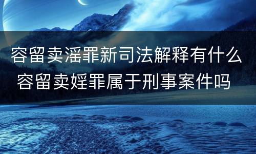 容留卖滛罪新司法解释有什么 容留卖婬罪属于刑事案件吗