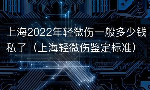 上海2022年轻微伤一般多少钱私了（上海轻微伤鉴定标准）