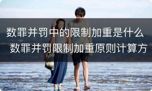 数罪并罚中的限制加重是什么 数罪并罚限制加重原则计算方法