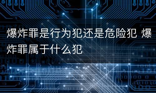 爆炸罪是行为犯还是危险犯 爆炸罪属于什么犯
