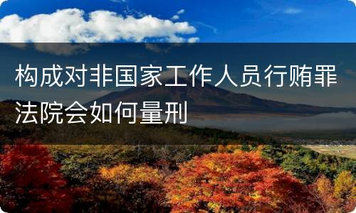构成对非国家工作人员行贿罪法院会如何量刑