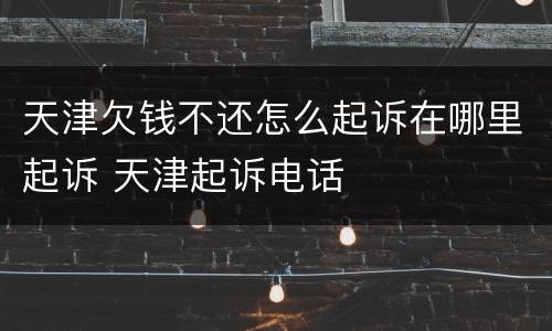 天津欠钱不还怎么起诉在哪里起诉 天津起诉电话