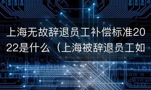 上海无故辞退员工补偿标准2022是什么（上海被辞退员工如何要求赔偿）