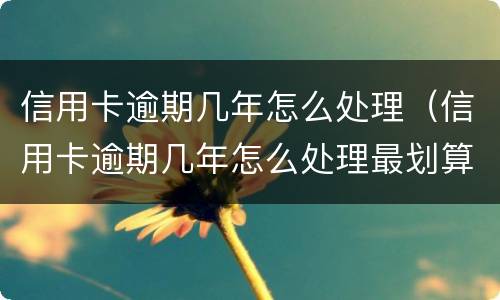 信用卡逾期几年怎么处理（信用卡逾期几年怎么处理最划算）